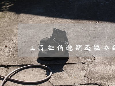 上了征信逾期还能办到信用卡吗 上了征信逾期还能办到信用卡吗
