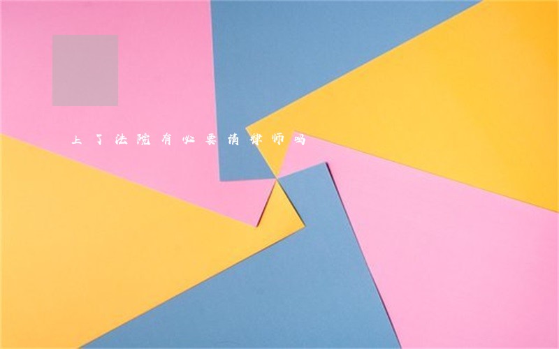 上了法院有必要请律师吗