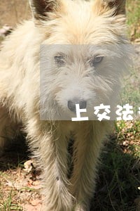 上交法律援助律师证 上交法律援助律师证