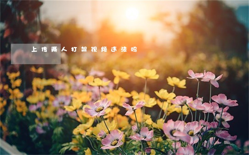 上传两人打架视频违法吗 上传两人打架视频违法吗