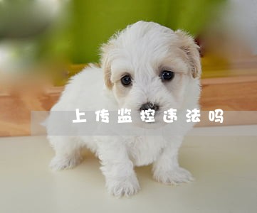 上传监控违法吗 上传监控违法吗
