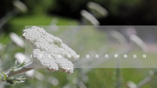 上党区倾销补贴在线律师咨询 上党区倾销补贴在线律师咨询