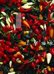 上原结衣时间静止法院番号