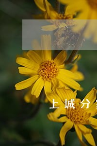 上城分家析产律师价格 上城分家析产律师价格