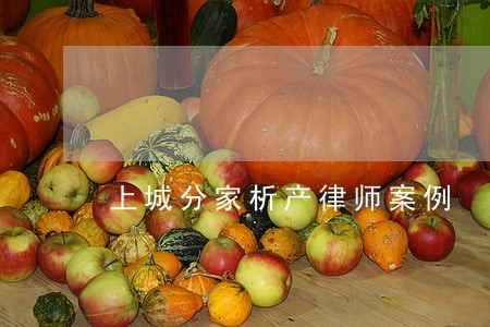 上城分家析产律师案例 上城分家析产律师案例
