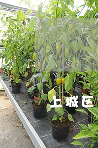 上城区企业法律服务律师代理费 上城区企业法律服务律师代理费
