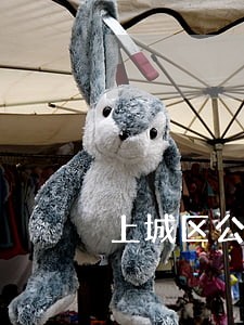 上城区公司股份纠纷律师在线 上城区公司股份纠纷律师在线