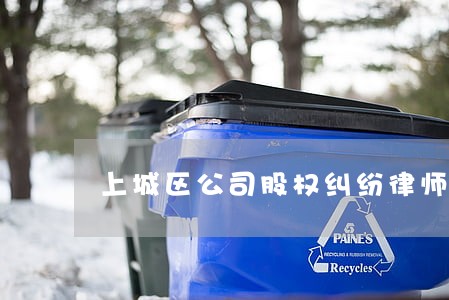上城区公司股权纠纷律师在线答疑 上城区公司股权纠纷律师在线答疑
