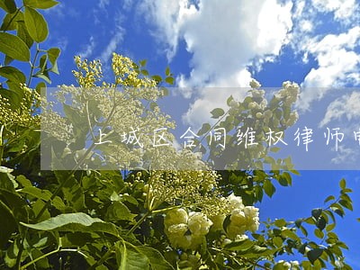 上城区合同维权律师电话 上城区合同维权律师电话