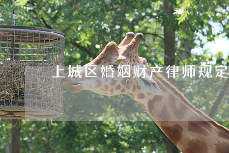 上城区婚姻财产律师规定 上城区婚姻财产律师规定