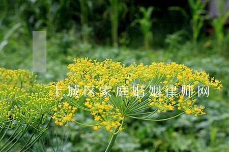 上城区家庭婚姻律师网