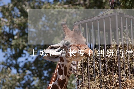 上城区擅长专利纠纷的律师 上城区擅长专利纠纷的律师