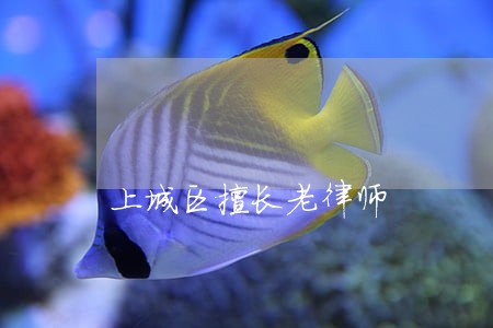 上城区擅长老律师 上城区擅长老律师