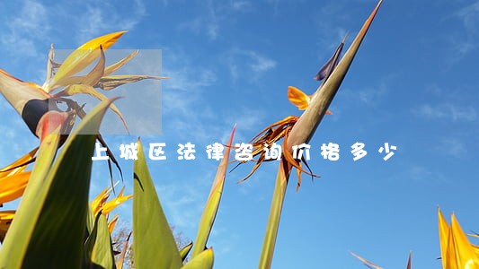 上城区法律咨询价格多少 上城区法律咨询价格多少