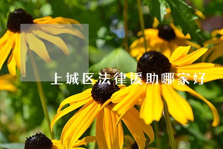 上城区法律援助哪家好 上城区法律援助哪家好