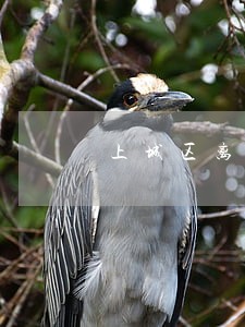 上城区离婚律师咨询 上城区离婚律师咨询
