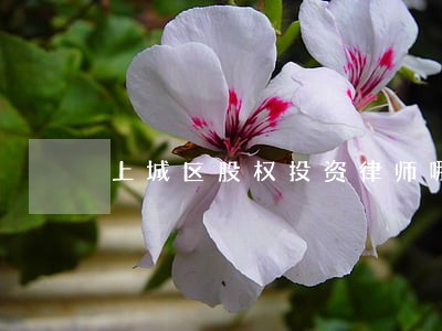 上城区股权投资律师哪里找 上城区股权投资律师哪里找