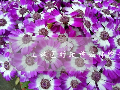 上城区行政诉讼律师咨询电话