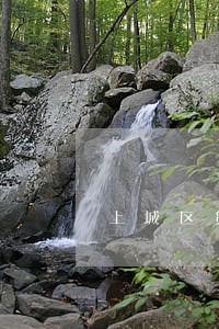 上城区贷款担保纠纷处理律师