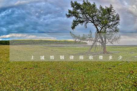 上城婚姻律师收费多少 上城婚姻律师收费多少