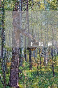 上城离婚案律师咨询 上城离婚案律师咨询