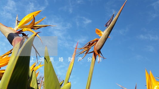 上城离婚财产分割 上城离婚财产分割