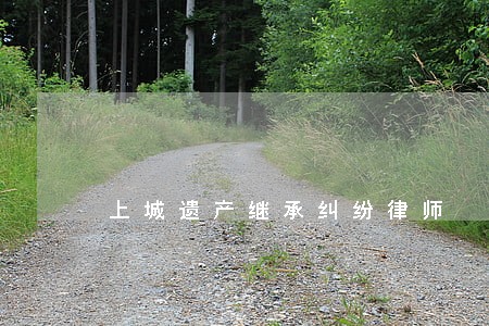 上城遗产继承纠纷律师 上城遗产继承纠纷律师