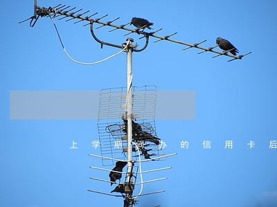 上学期间办的信用卡后逾期 上学期间办的信用卡后逾期