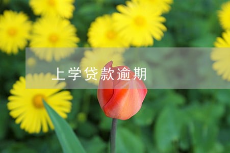 上学贷款逾期 上学贷款逾期