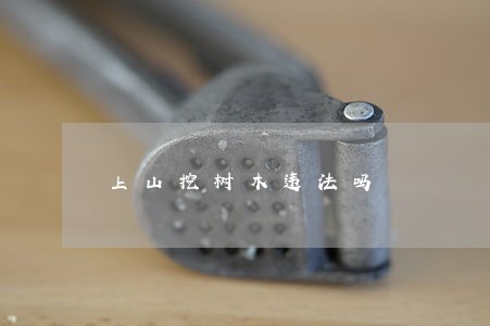 上山挖树木违法吗 上山挖树木违法吗