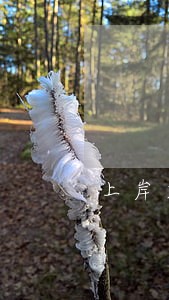 上岸君信用卡逾期 上岸君信用卡逾期