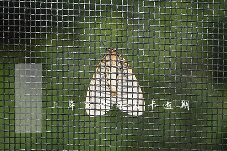 上岸指南信用卡逾期 上岸指南信用卡逾期