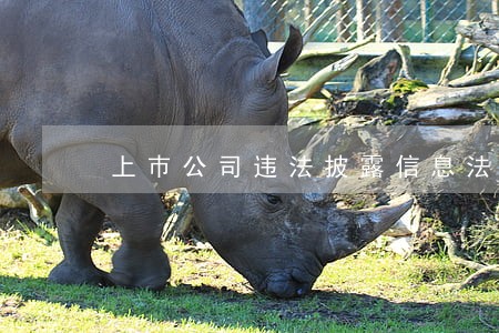 上巿公司违法披露信息法律追诉期 上巿公司违法披露信息法律追诉期