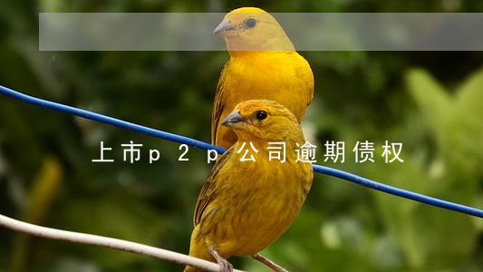 上市p2p公司逾期债权 上市p2p公司逾期债权