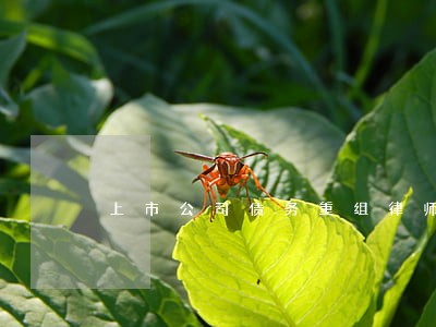 上市公司债务重组律师 上市公司债务重组律师