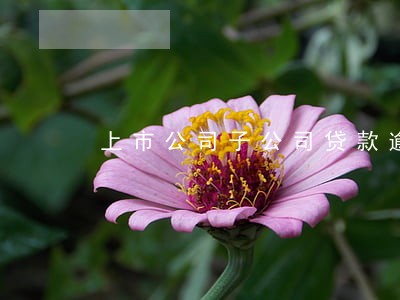 上市公司子公司贷款逾期 上市公司子公司贷款逾期