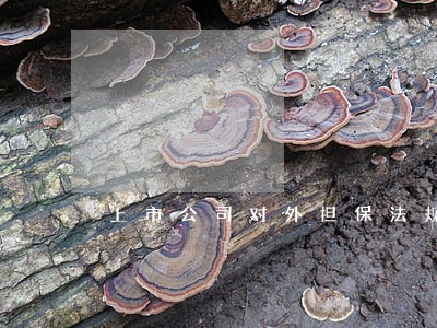 上市公司对外担保法规 上市公司对外担保法规