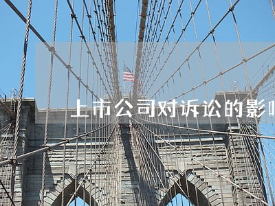 上市公司对诉讼的影响 上市公司对诉讼的影响