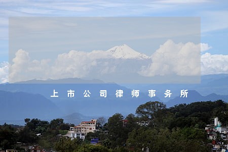上市公司律师事务所 上市公司律师事务所
