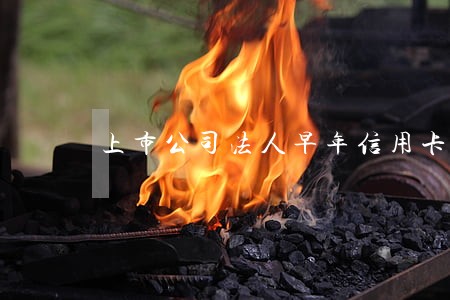 上市公司法人早年信用卡逾期 上市公司法人早年信用卡逾期