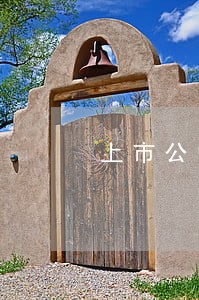 上市公司法人股东