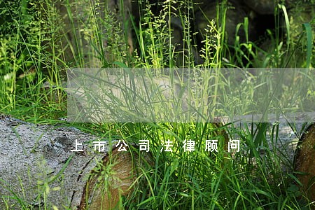 上市公司法律顾问 上市公司法律顾问