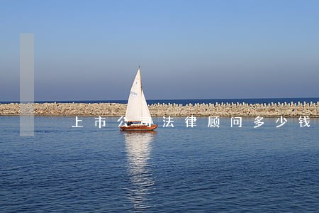 上市公司法律顾问多少钱 上市公司法律顾问多少钱