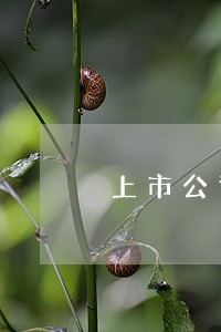上市公司登记制度的立法建议