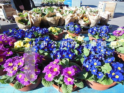 上市公司的定融逾期 上市公司的定融逾期