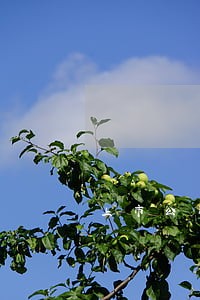 上市公司签订包赔协议是否违法 上市公司签订包赔协议是否违法