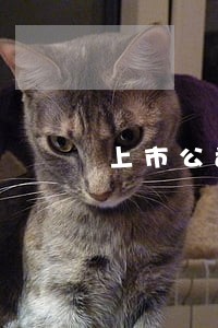 上市公司自有资金理财逾期 上市公司自有资金理财逾期