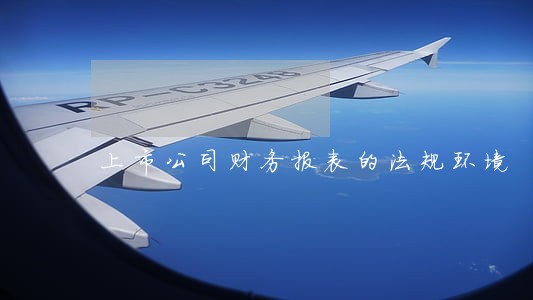上市公司财务报表的法规环境 上市公司财务报表的法规环境