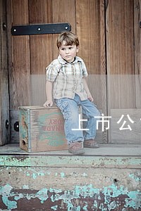 上市公司贷款逾期公告 上市公司贷款逾期公告