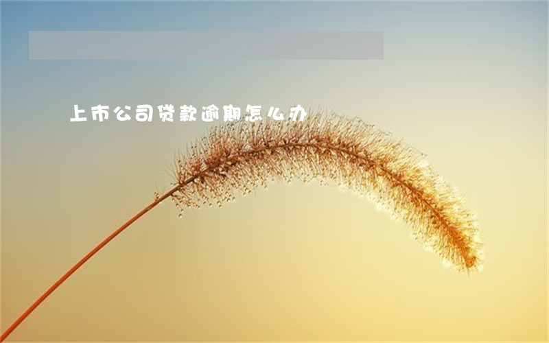上市公司贷款逾期怎么办 上市公司贷款逾期怎么办